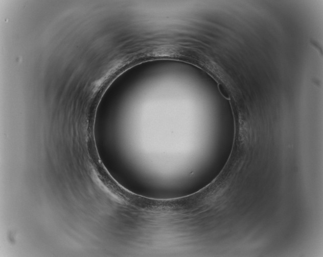 X0000102820530200808251113