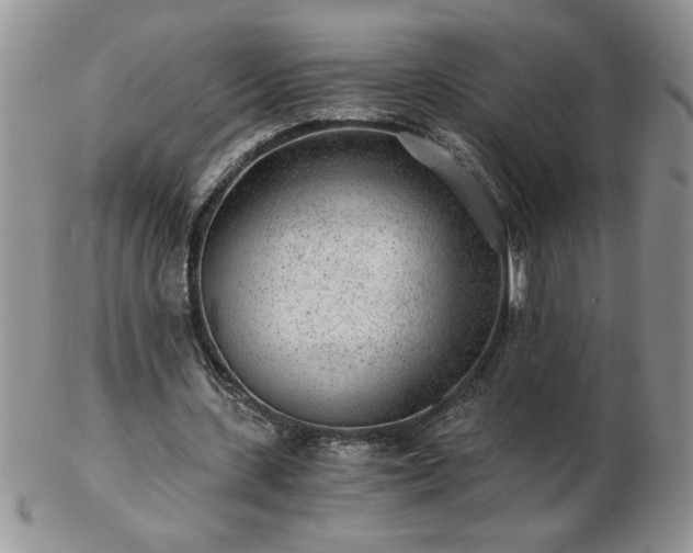 X0000102820531200808251113