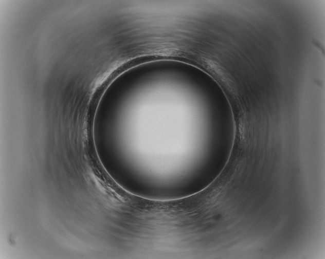 X0000102820532200808251113