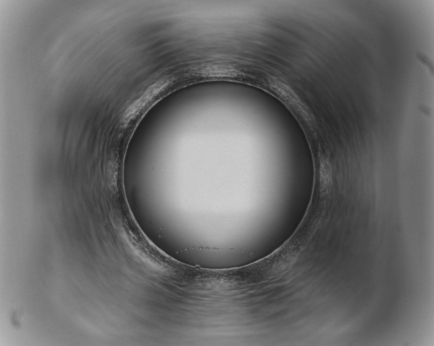 X0000102820533200808251113