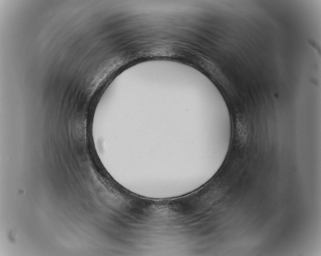 X0000102820534200808251113