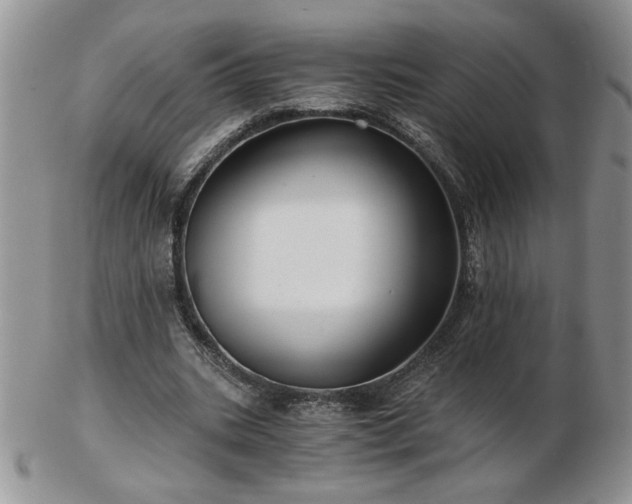 X0000102820535200808251113