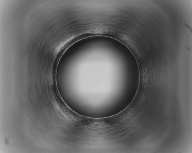 X0000102820536200808251113