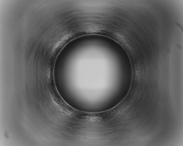 X0000102820539200808251113