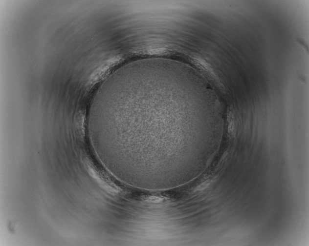 X0000102820542200808251113