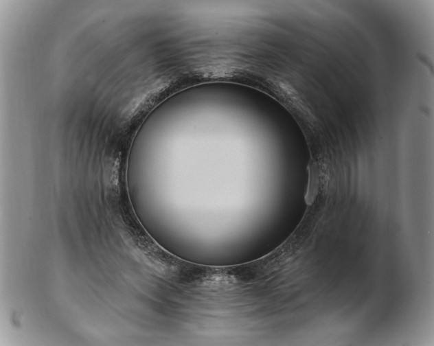 X0000102820543200808251113