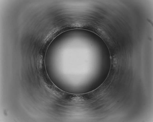 X0000102820544200808251113