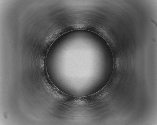 X0000102820545200808251113