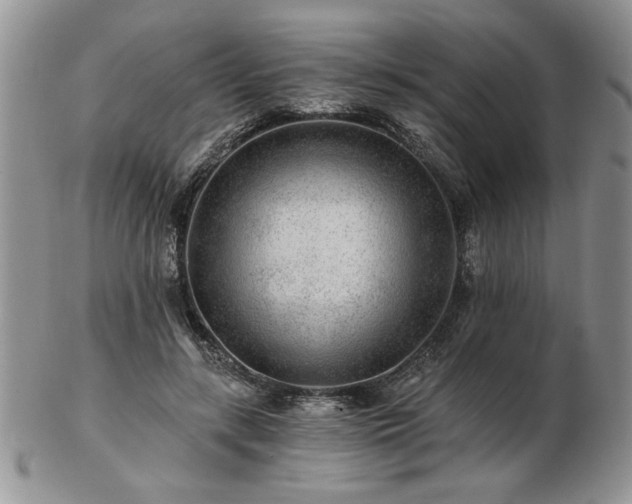 X0000102820547200808251113