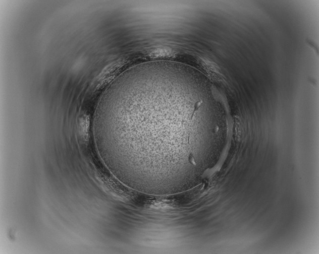 X0000102820550200808251113