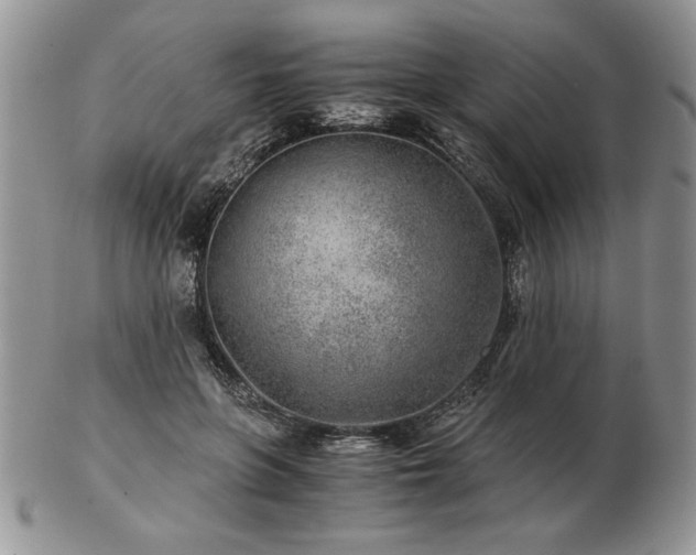X0000102820551200808251113