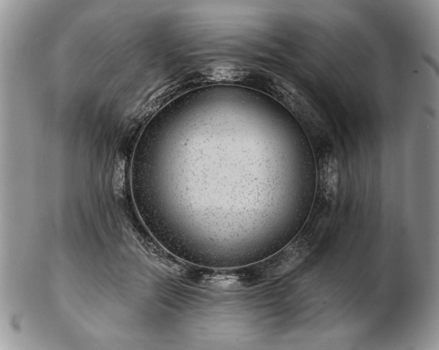 X0000102820554200808251113