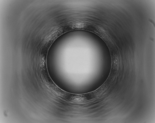 X0000102820555200808251113