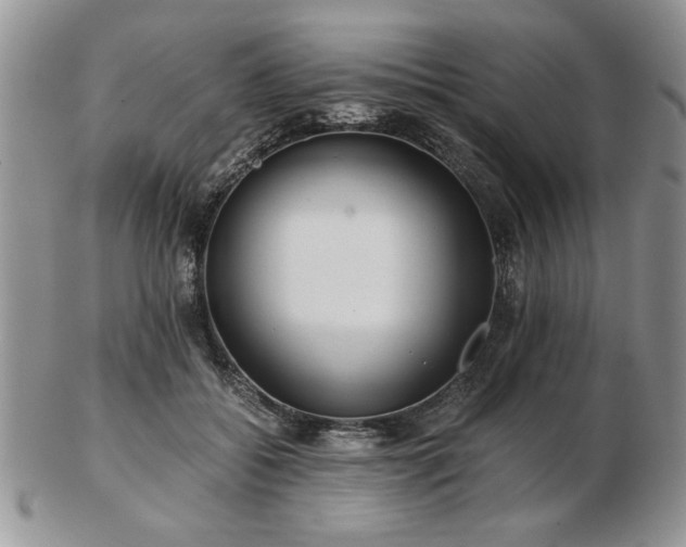 X0000102820556200808251113