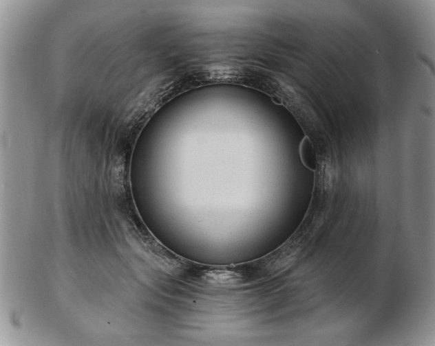 X0000102820557200808251113