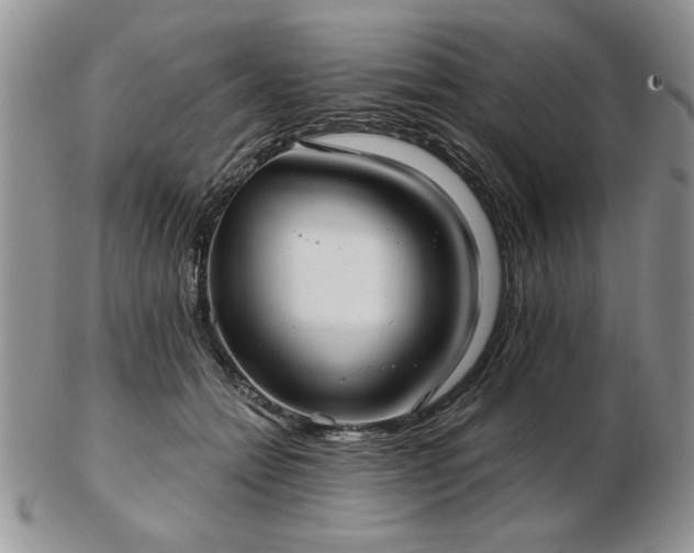X0000102820558200808251113