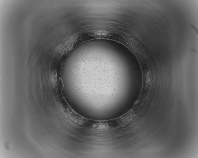 X0000102820559200808251113