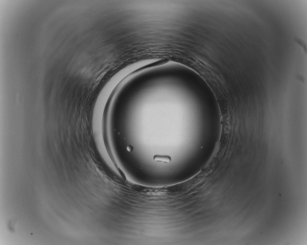 X0000102820560200808251113