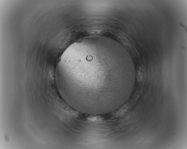 X0000102820561200808251113