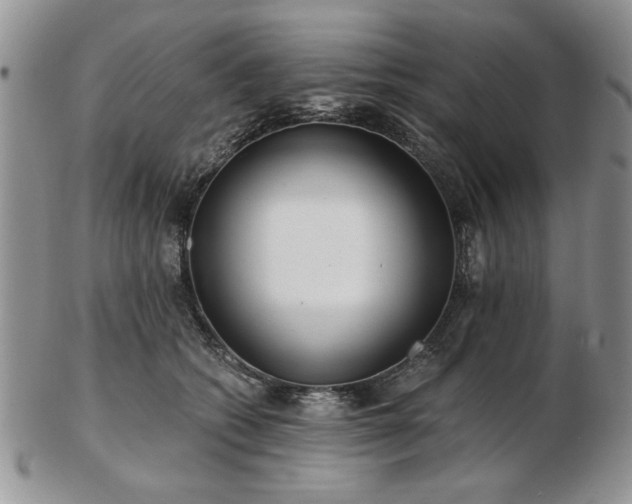 X0000102820562200808251113