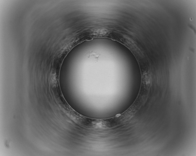X0000102820564200808251113