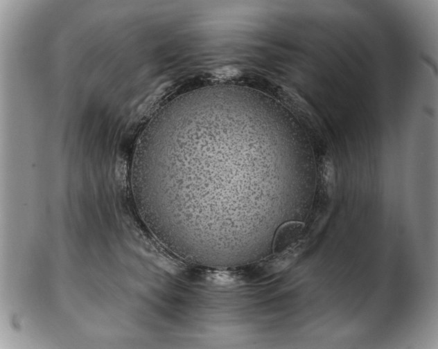 X0000102820565200808251113