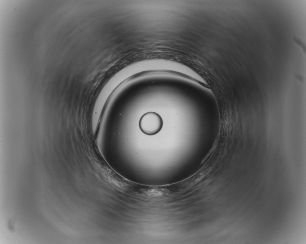 X0000102820566200808251113