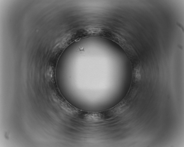 X0000102820567200808251113
