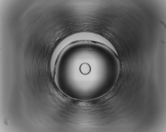 X0000102820568200808251113