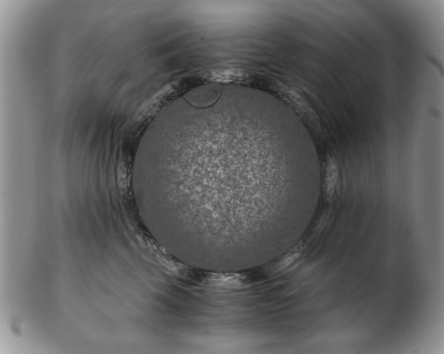 X0000102820569200808251113