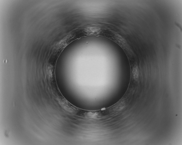 X0000102820570200808251113