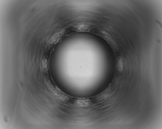 X0000102820571200808251113