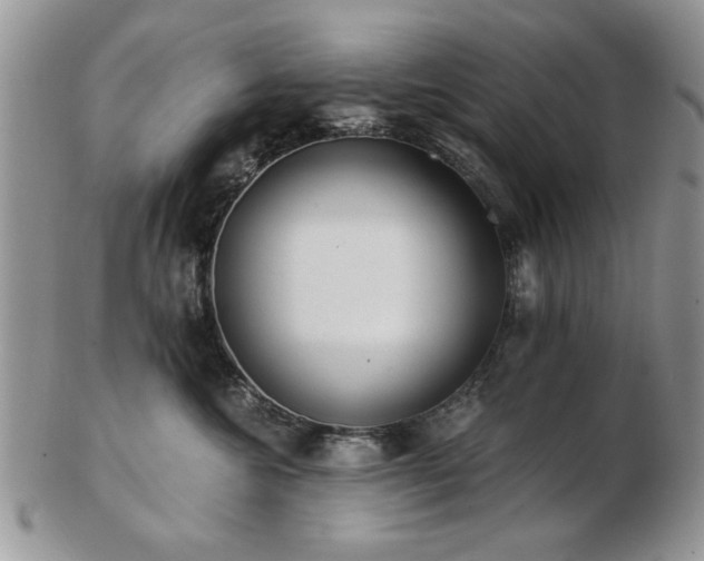 X0000102820572200808251113