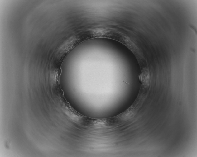 X0000102820574200808251113