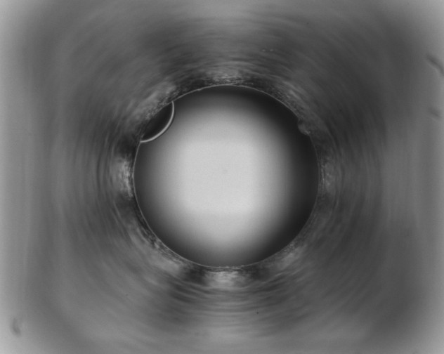 X0000102820575200808251113
