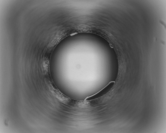 X0000102820576200808251113
