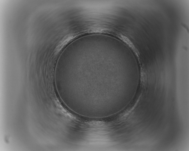 X0000102820577200808251113