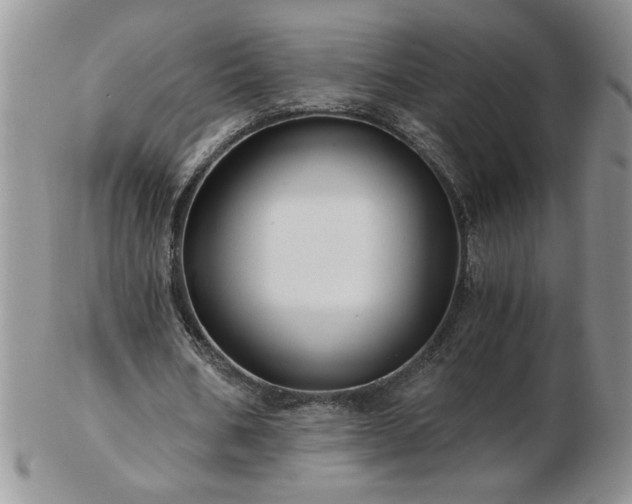 X0000102820578200808251113
