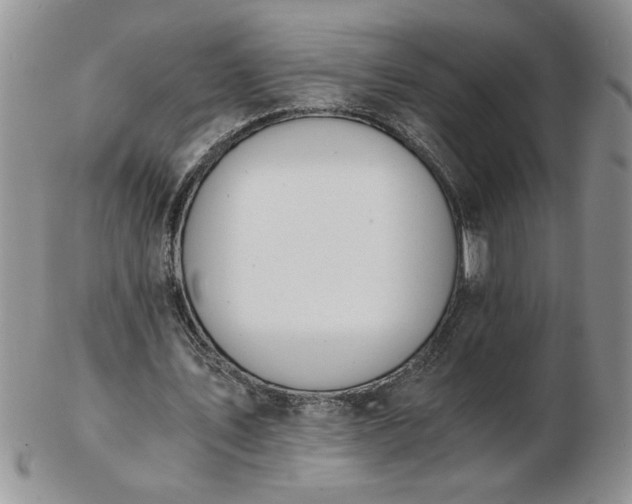 X0000102820579200808251113