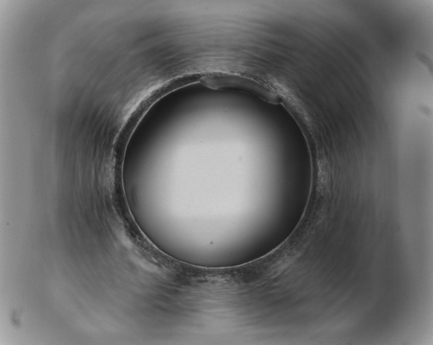 X0000102820580200808251113
