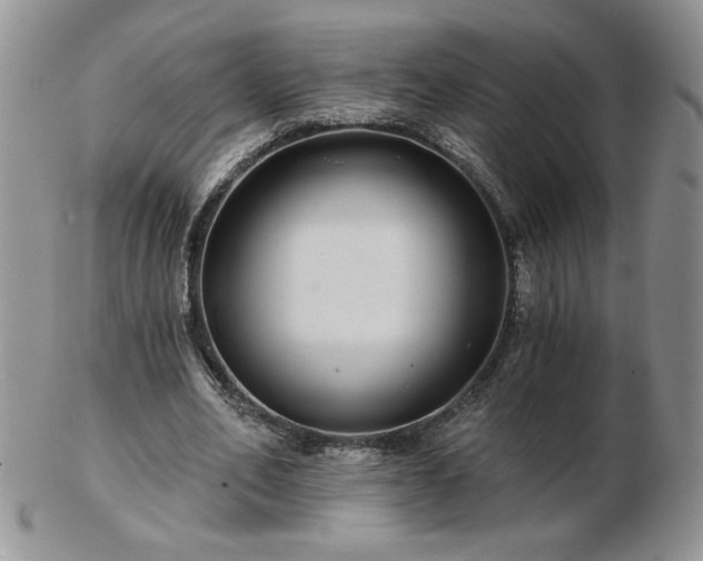 X0000102820582200808251113