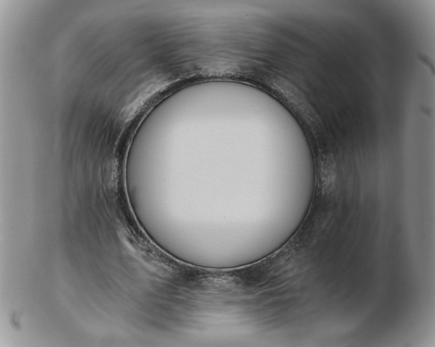 X0000102820583200808251113