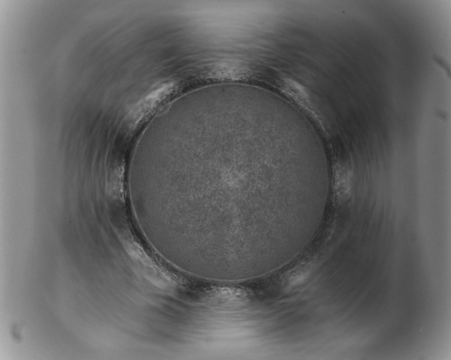 X0000102820585200808251113