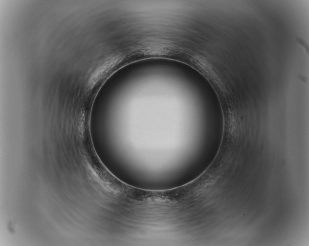 X0000102820586200808251113