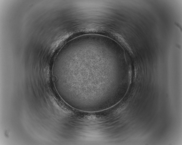 X0000102820588200808251113