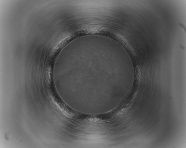 X0000102820590200808251113