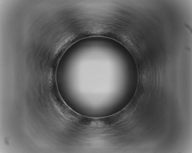 X0000102820591200808251113