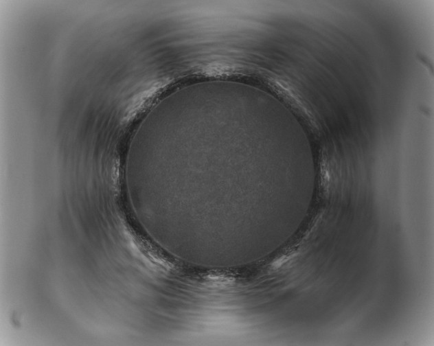 X0000102820592200808251113
