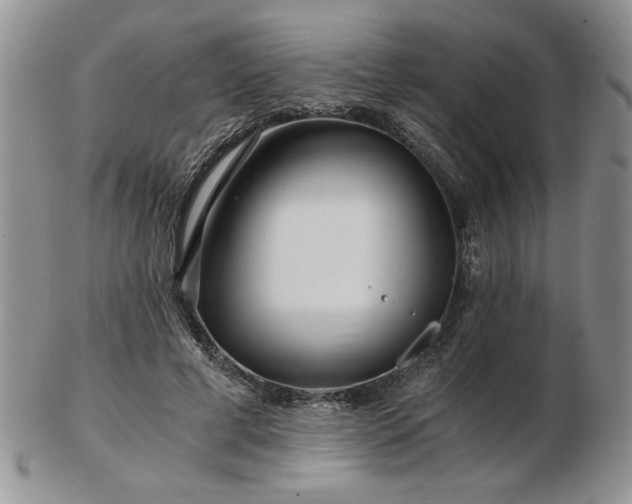 X0000102820593200808251113
