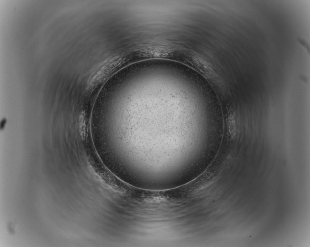 X0000102820594200808251113